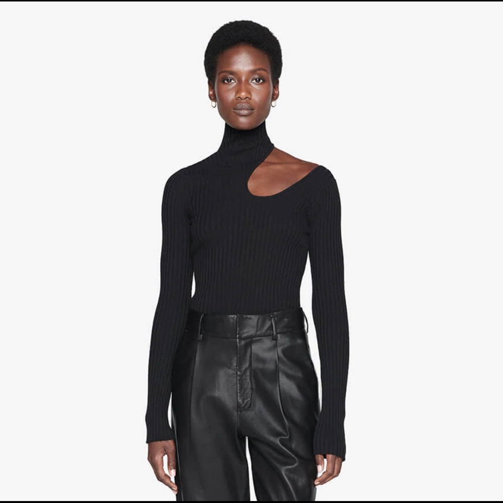 NWOT Anine Bing Victoria Top